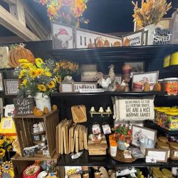 Farmer's Daughters of Idaho ico