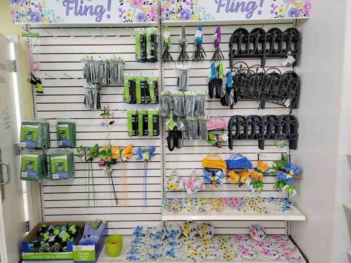 Dollar Tree 3