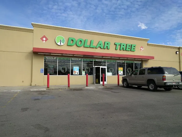 Dollar Tree 6