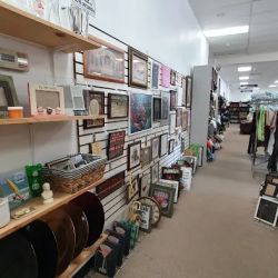 Watersprings Thrift ico