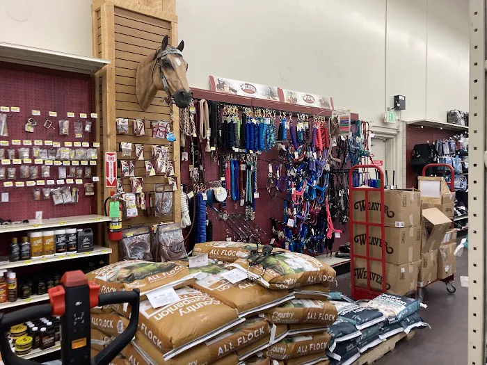 C-A-L Ranch Stores 6