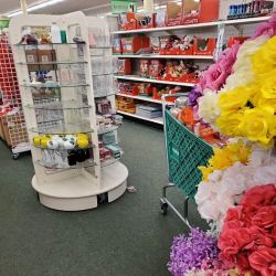 Dollar Tree ico