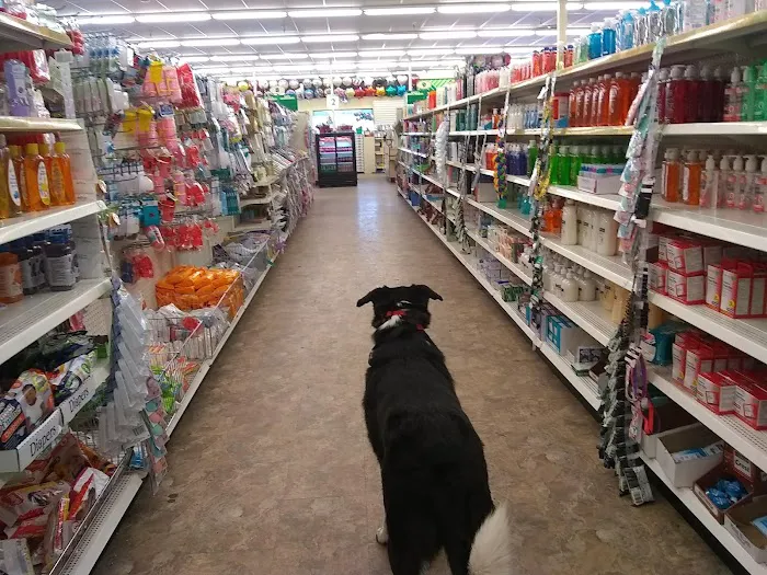 Dollar Tree 1