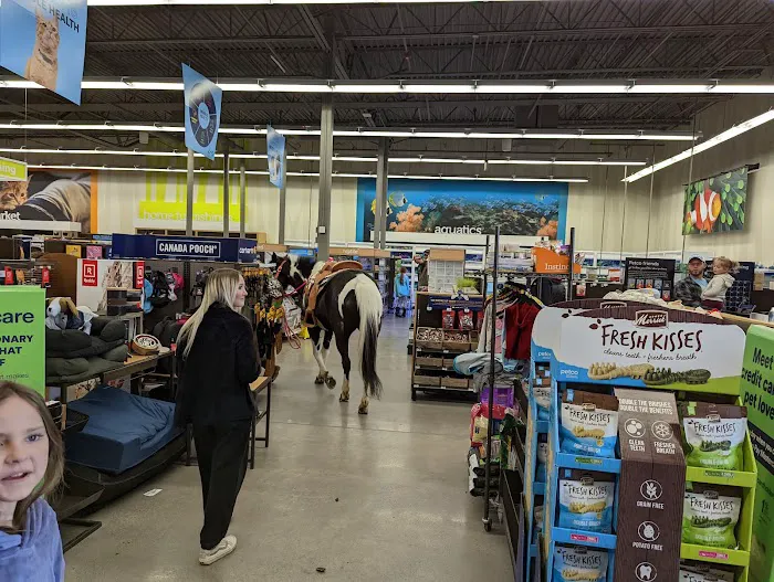 Petco 1