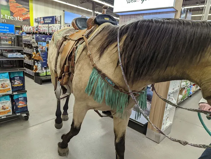 Petco 4
