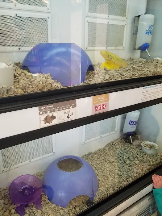 Petco 3