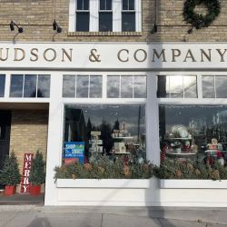 Hudson & Company ico