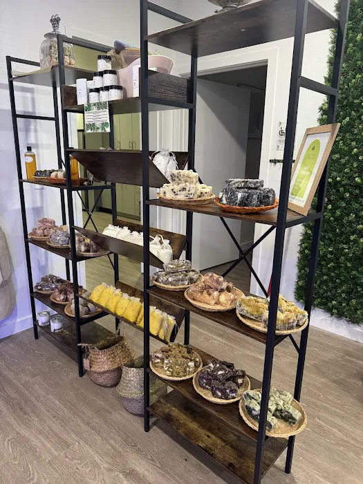 Sage & Elm Apothecary 1