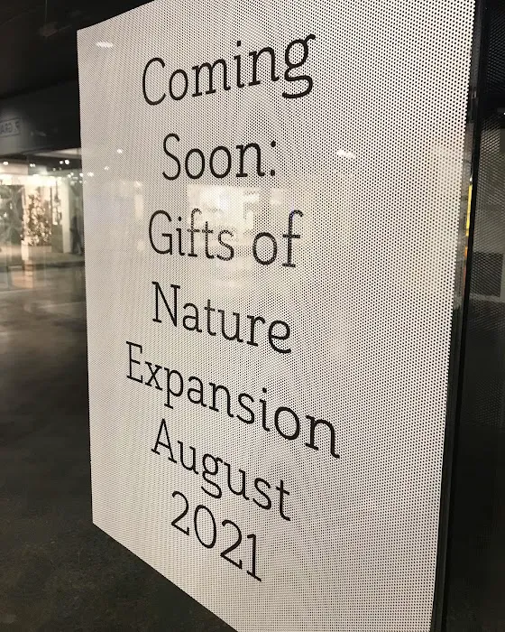 Gifts of Nature 1