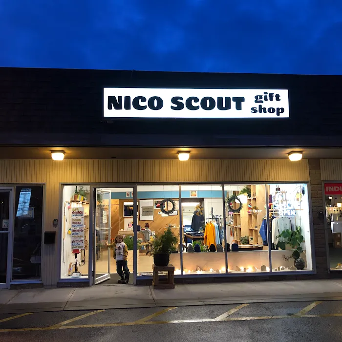 Nico Scout 2