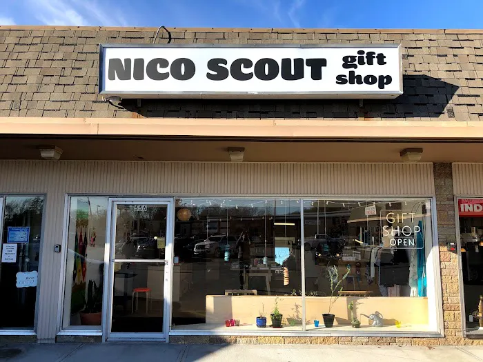 Nico Scout 3