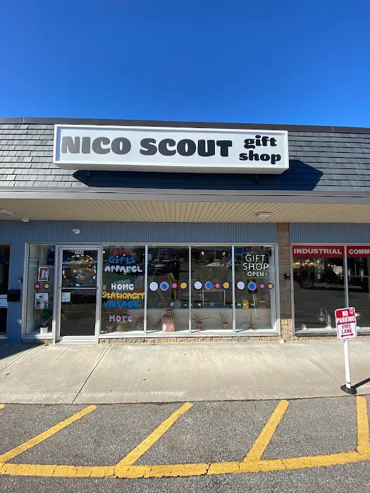 Nico Scout 6