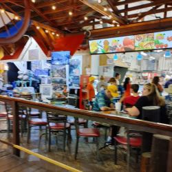 Deb’s Touch of Florida ico