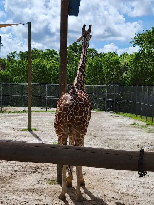 Naples Zoo Gift Shop 7