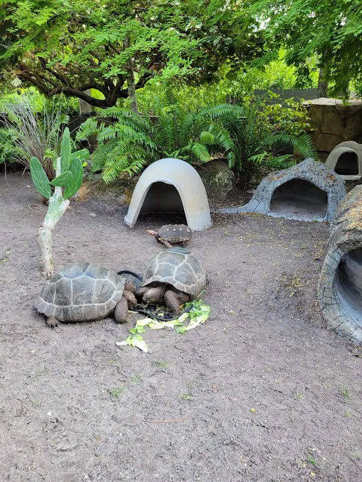 Naples Zoo Gift Shop 8