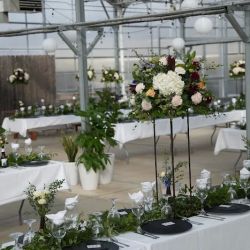 Klein's Floral And Greenhouses ico