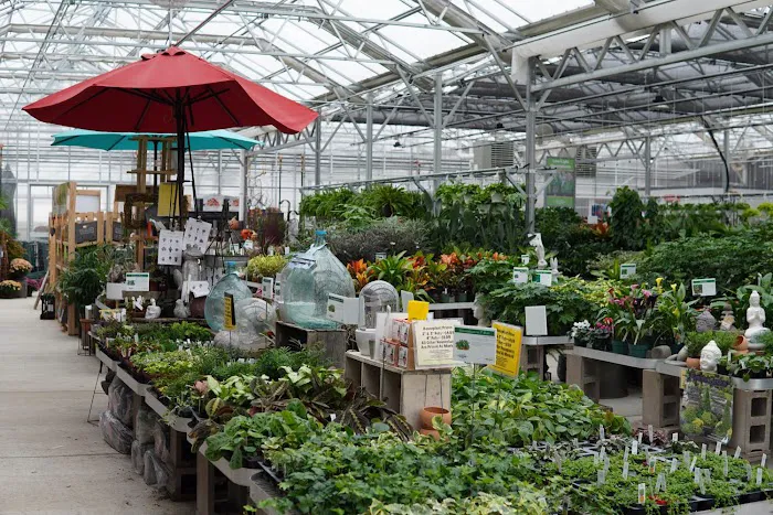 Klein's Floral And Greenhouses 5