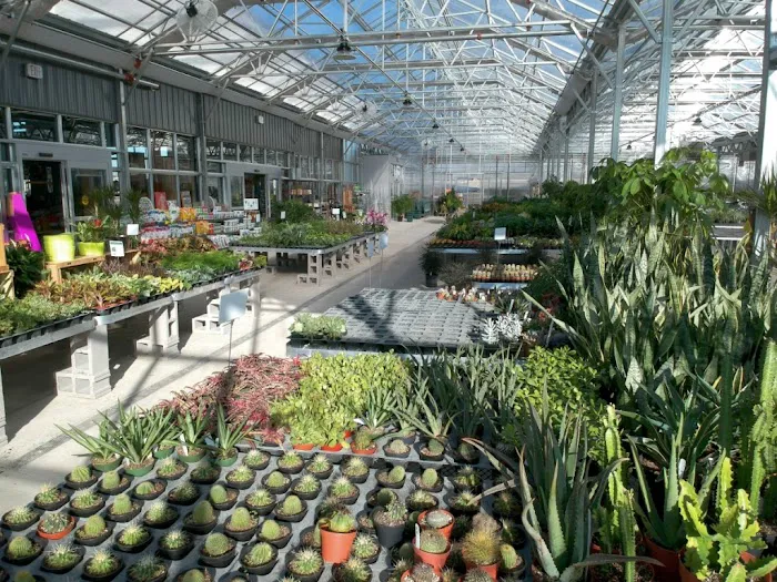Klein's Floral And Greenhouses 9