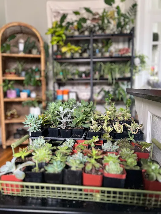 The Grove - Botany Boutique 2