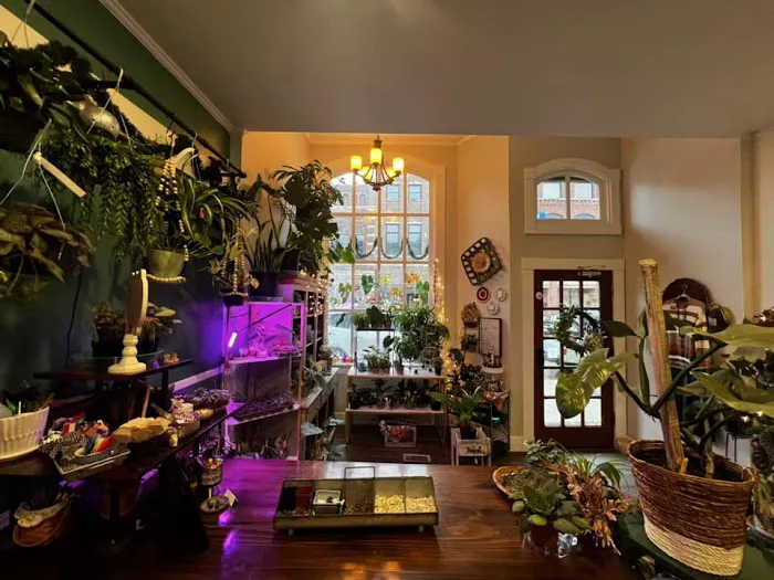 The Grove - Botany Boutique 6