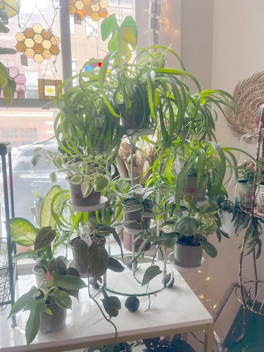 The Grove - Botany Boutique 7