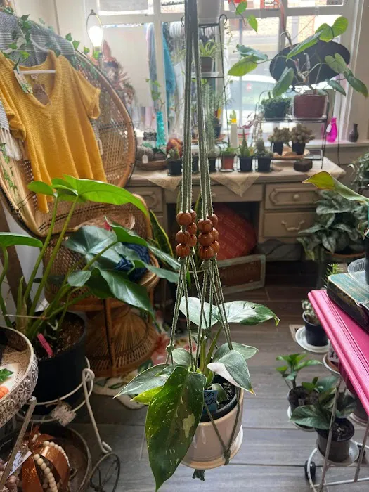 The Grove - Botany Boutique 4