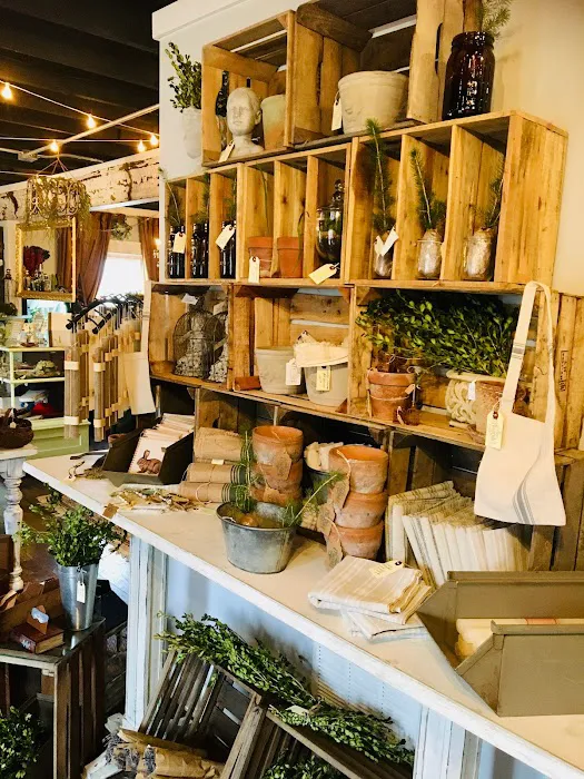 FrenChic 2
