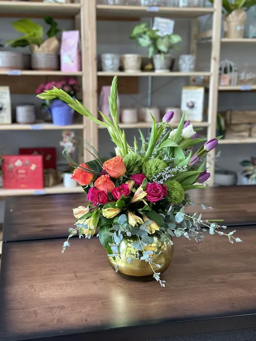 Haven House Florals 4