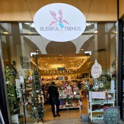 Blissful Trends ico