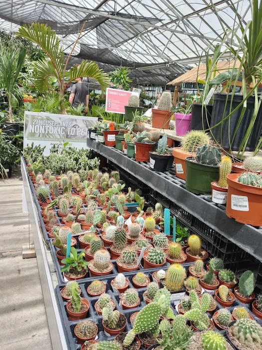Strange's Florists, Greenhouses and Garden Centers 0