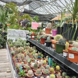 Strange's Florists, Greenhouses and Garden Centers ico