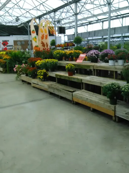 Strange's Florists, Greenhouses and Garden Centers 6