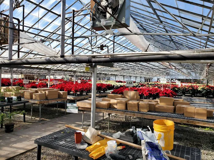 Strange's Florists, Greenhouses and Garden Centers 4