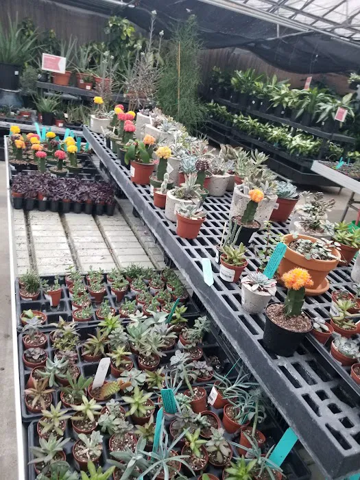 Strange's Florists, Greenhouses and Garden Centers 7