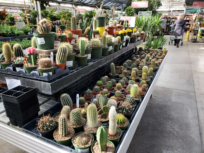 Strange's Florists, Greenhouses and Garden Centers 9