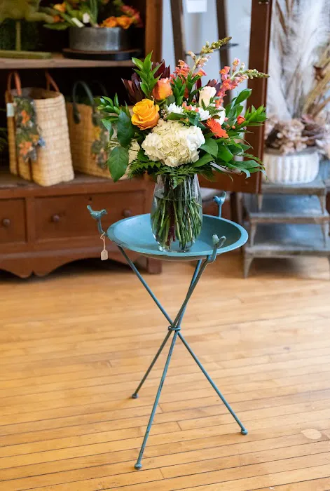 Sun Prairie Flowers by Hen & Chick 3