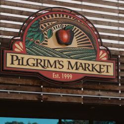Pilgrim's Market ico