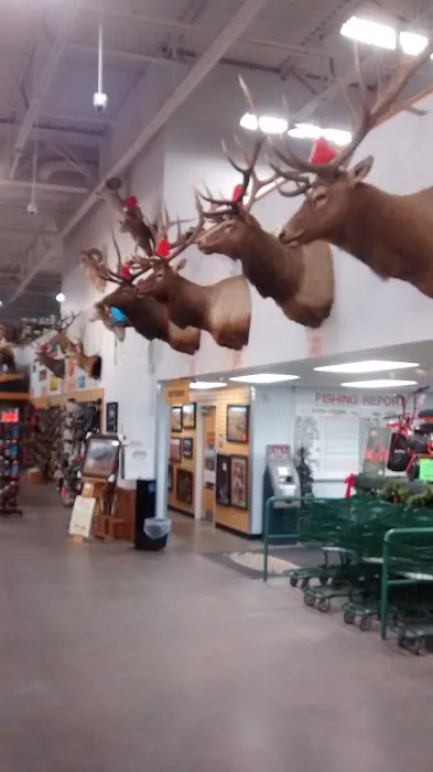 Sportsman's Warehouse 7