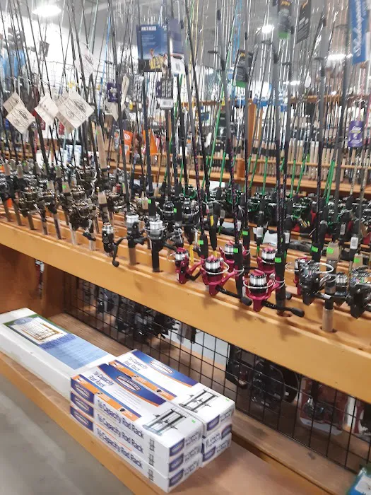 Sportsman's Warehouse 5