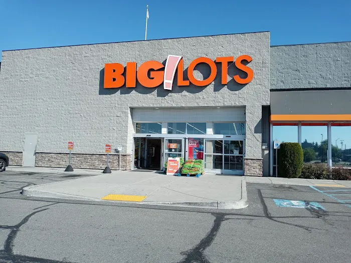 Big Lots 2
