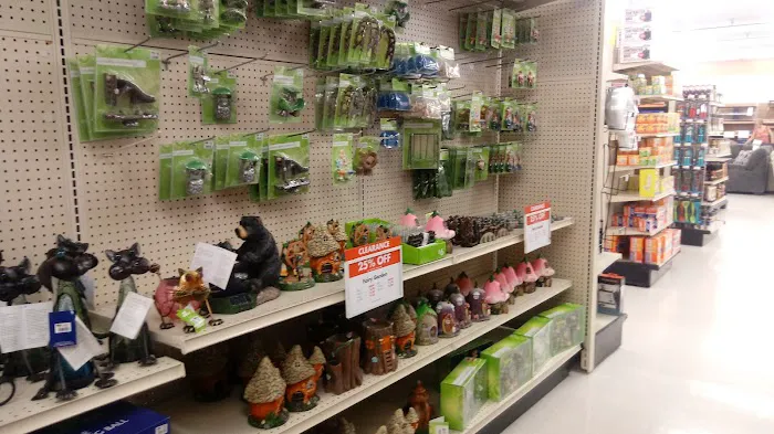 Big Lots 5