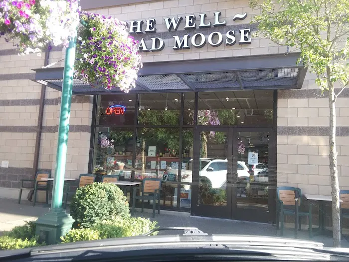 The Well~Read Moose 9