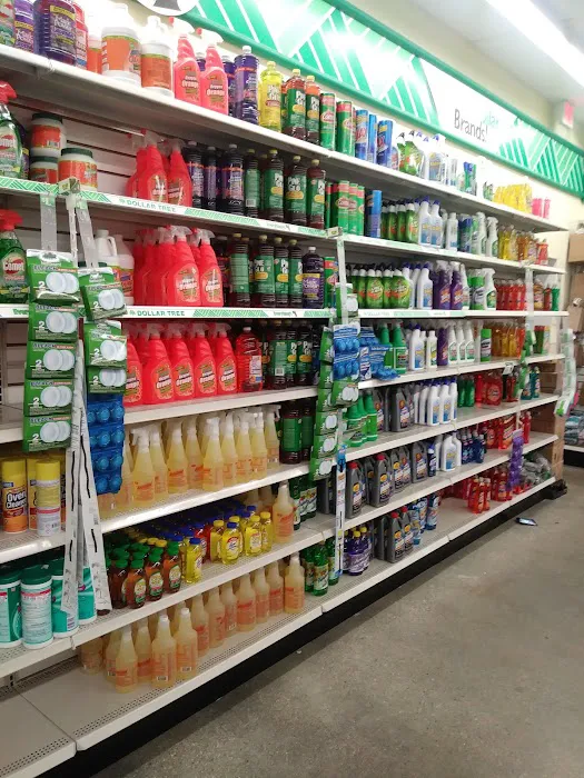 Dollar Tree 8