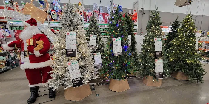 The Home Depot 2