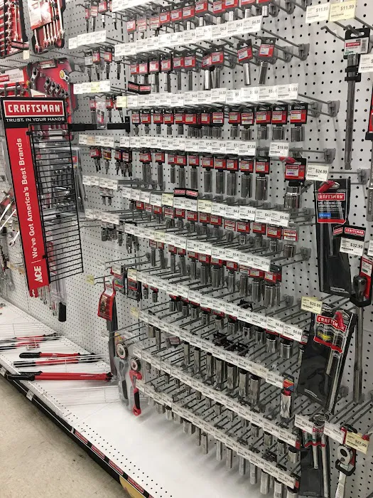 Hayden Ace Hardware 1