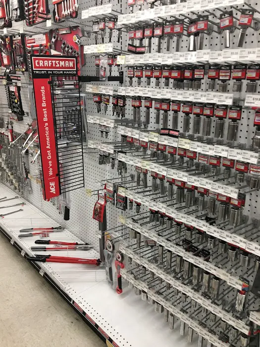 Hayden Ace Hardware 6