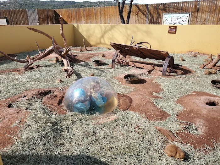 Reptile Gardens Gift Shop 5