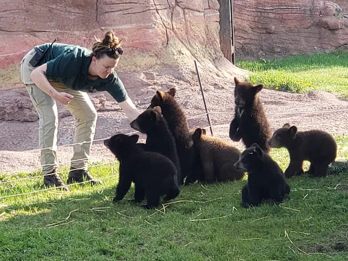Bear’s Den Gift Shop 1