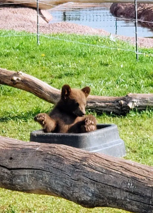 Bear’s Den Gift Shop 0