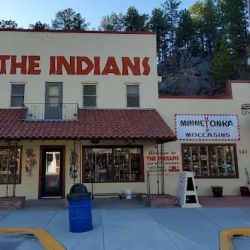 The Indians ico